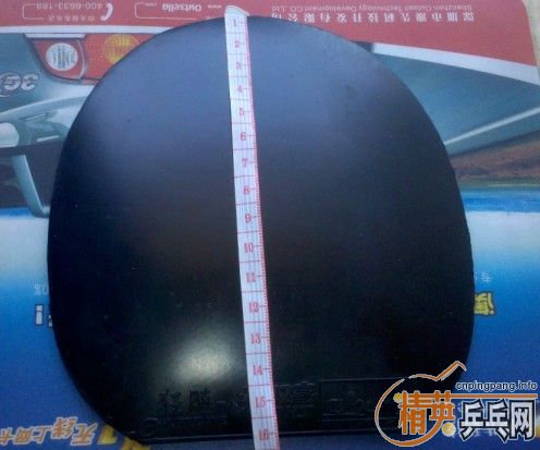 pingpang.info 图片点击可在新窗口打开查看