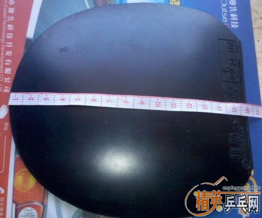 pingpang.info 图片点击可在新窗口打开查看