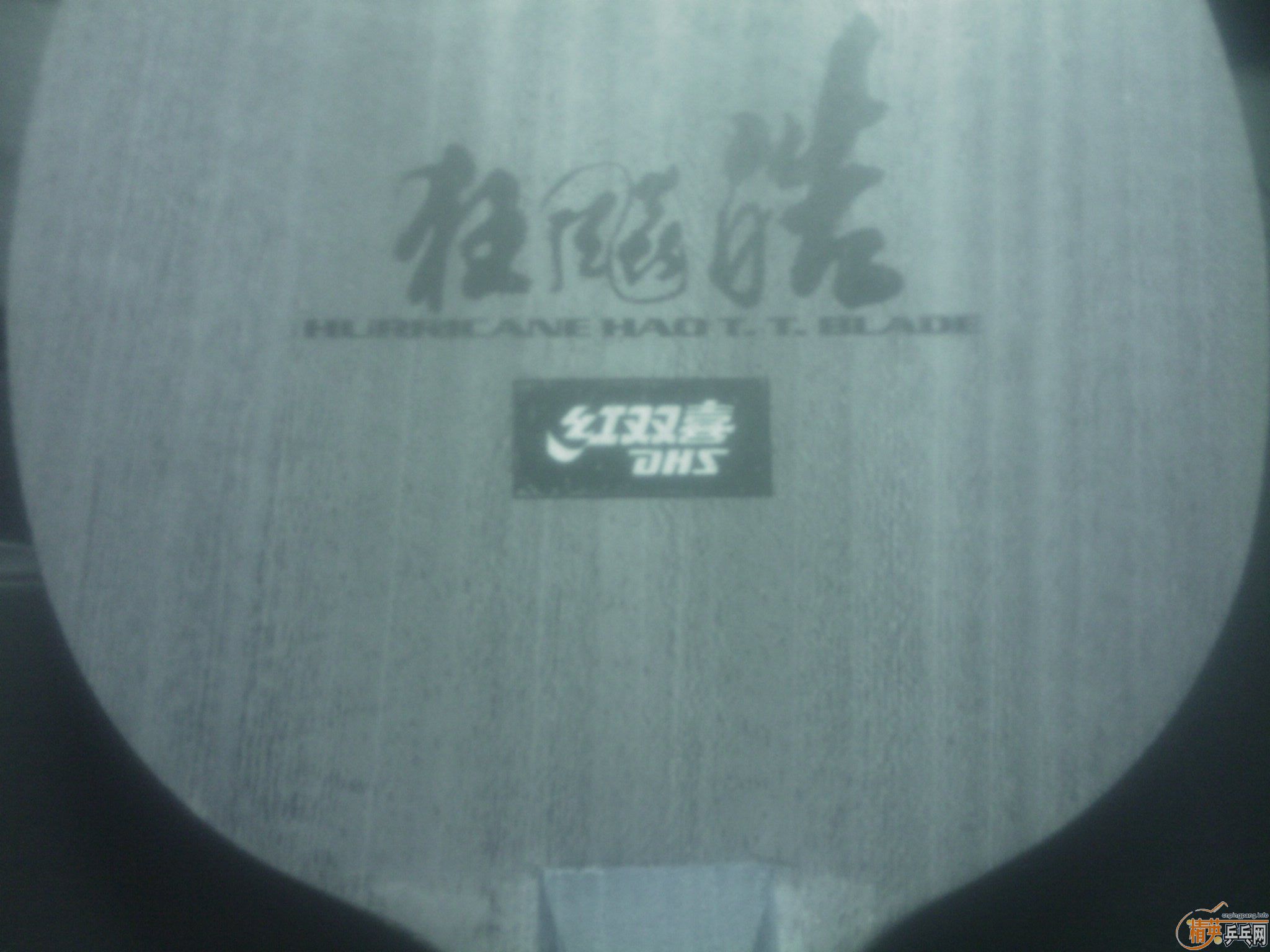 pingpang.info 图片点击可在新窗口打开查看