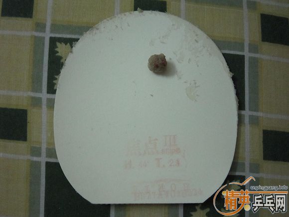 pingpang.info 图片点击可在新窗口打开查看