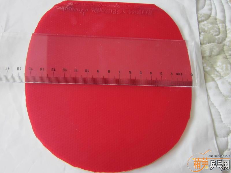 pingpang.info 图片点击可在新窗口打开查看