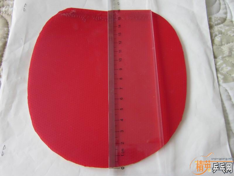 pingpang.info 图片点击可在新窗口打开查看