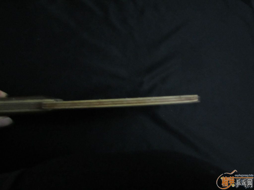 pingpang.info 图片点击可在新窗口打开查看