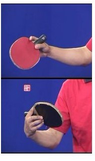 pingpang.info 图片点击可在新窗口打开查看