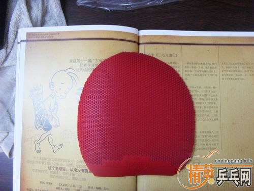 pingpang.info 图片点击可在新窗口打开查看