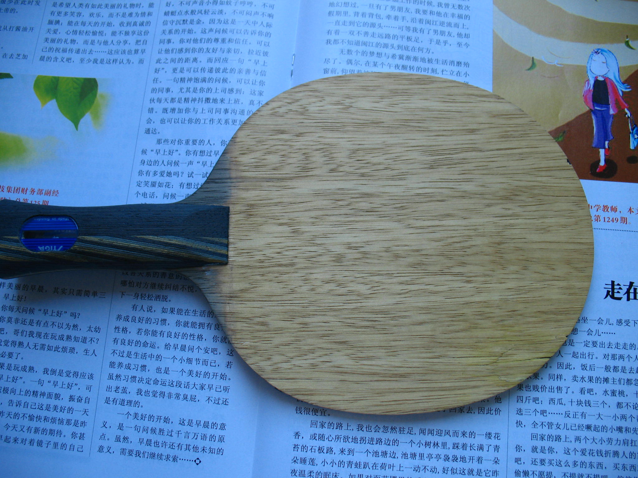 pingpang.info 图片点击可在新窗口打开查看