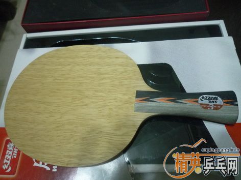 pingpang.info 图片点击可在新窗口打开查看